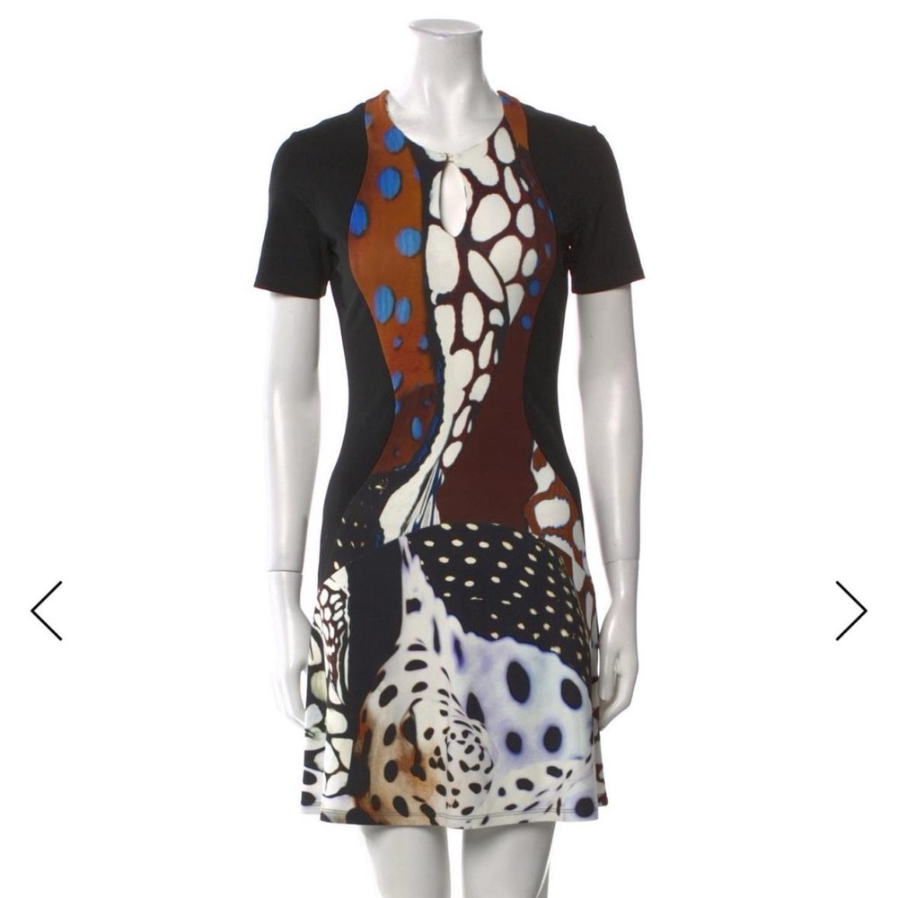 Roberto Cavalli A-Line Dress